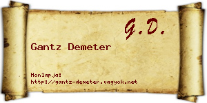 Gantz Demeter névjegykártya